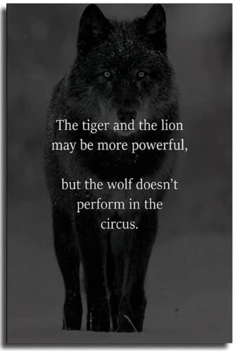 270282473_6870023983037838_7612456910051247223_n