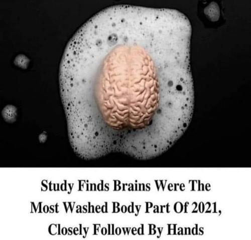 263621788_4750033051685456_8614746874840762109_n