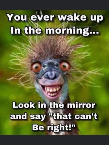 FB_IMG_1639093385144