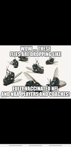 Screenshot_20211228-114335_Wimkin Uncensored