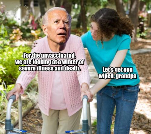 get_biden_wiped