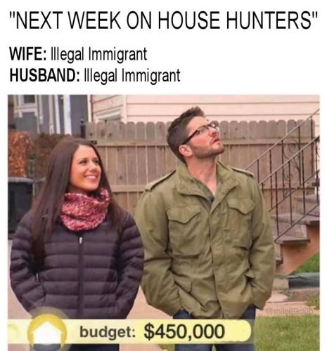 illegal immigration265