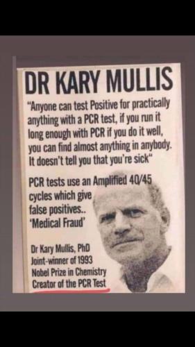 Screenshot_20211216-180819_Wimkin Uncensored