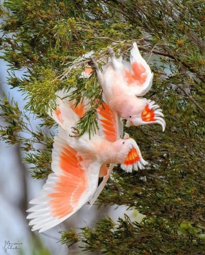 266354813_474216380748707_7448108606228210837_n