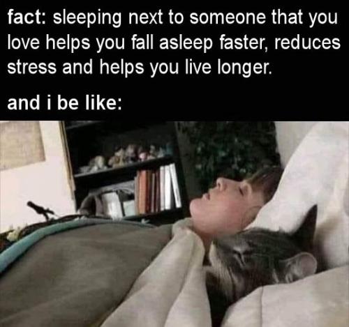 fact sleeping next to someone that you love helps you fall asleep faster reduces stress and helps you live longer