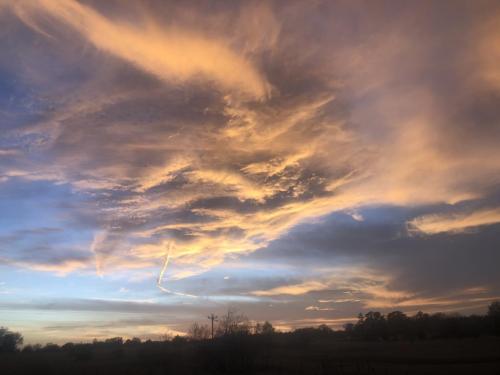 6804CD6B-D8D0-4E8A-9885-26B97CFF7733