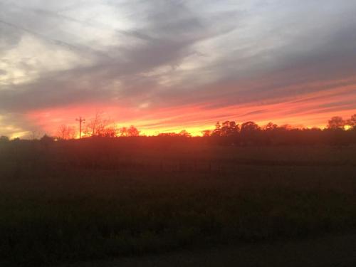 E12E0453-BDC9-49DA-B1BD-03D39A75B011