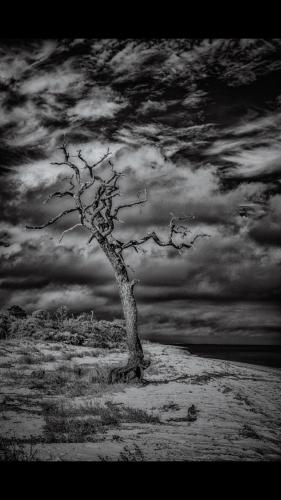 Screenshot_20211115-184310_Wimkin Uncensored