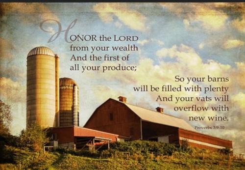 Screenshot_20211218-071512_DuckDuckGo