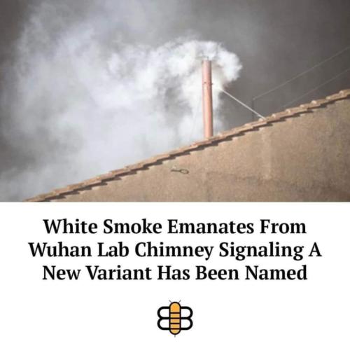 FB_IMG_1638229521367