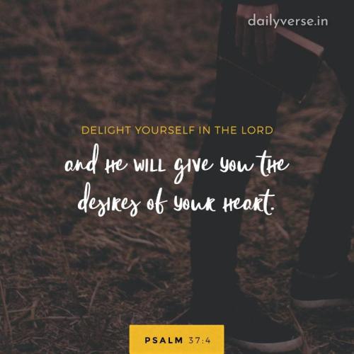 10:19:02 GMT-0500 (EST)