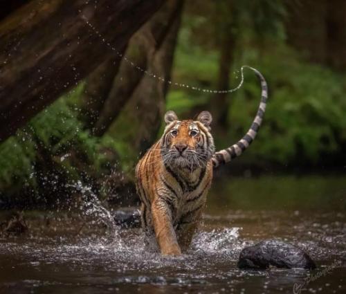 tumblr_e08618428de262d1425837d9a443195f_b9bd67eb_540