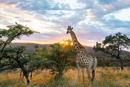 269327319_1726844040848272_2030135218070557908_n