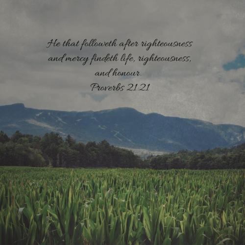 08:02:02 GMT-0500 (EST)