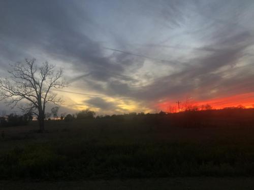 C673036B-DA36-4D64-A0F3-7091D01A030E