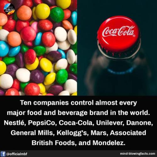 corps that own the food supply