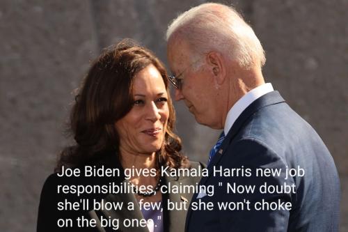 u-s-pres-joe-biden-vice-pres-kamala-harris-mocked-in-billboard-with-text-dumb-and-dumber