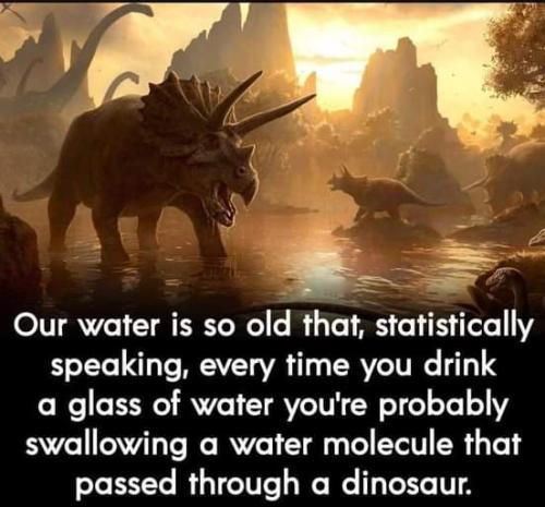 DinosaurPoopWater