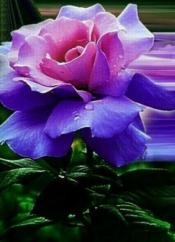 18:35:07 GMT-0600 (CST)