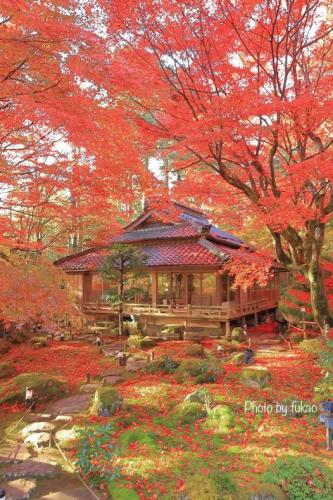 260532905_5116974368332045_7021241176255861275_n