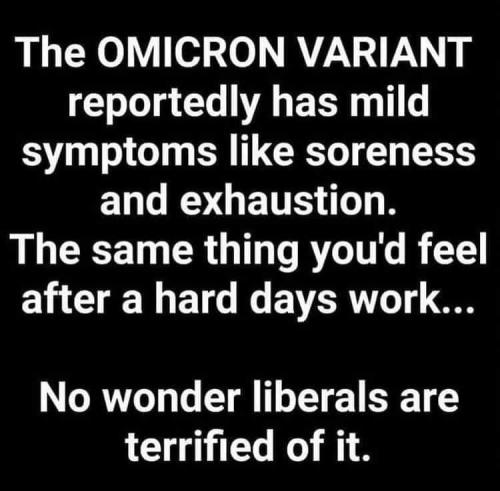 They're fake as fuck!! Whimps demon-rats