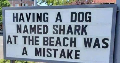 FB_IMG_1636221198989