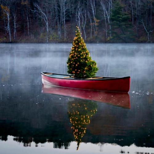 260480476_2490017061133279_1715295604009707330_n