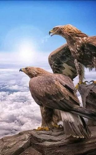 tumblr_1ee9c926a5f8ddae75d8d2163dc4a4e5_2fcd2b05_540