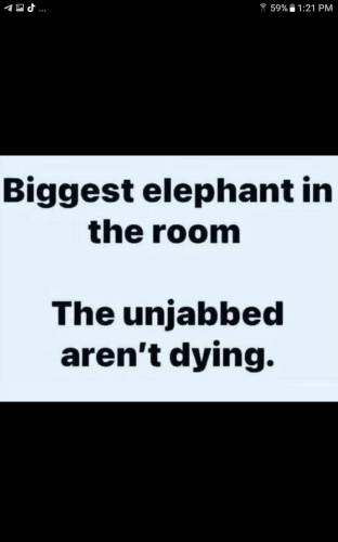 Screenshot_20211205-132128