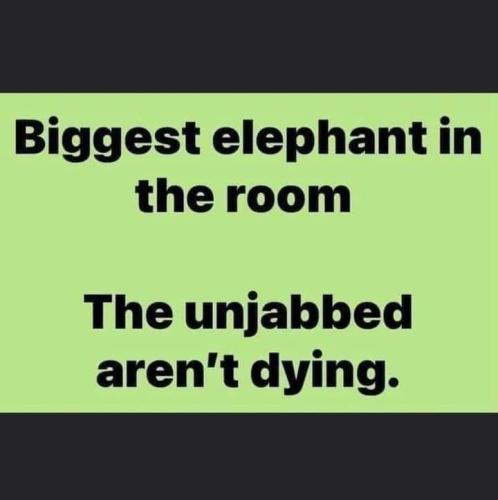 FB_IMG_1639083733483