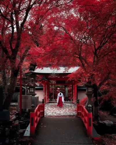 263430312_3096813063923241_764347310442948383_n