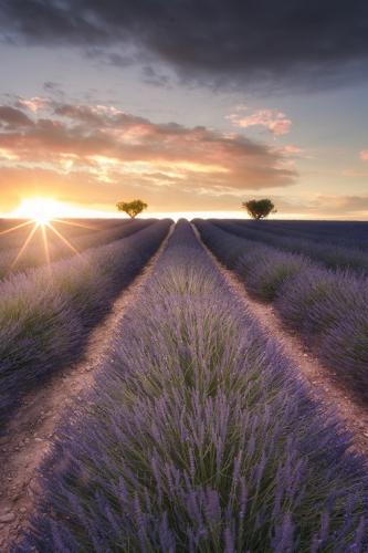 tumblr_oagv08F6eo1u8wonlo1_540