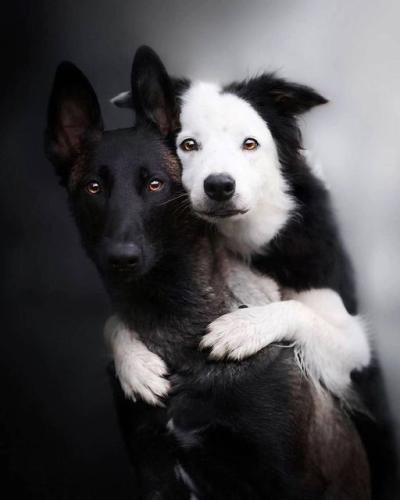 263548894_467527198084292_8547117960382000855_n