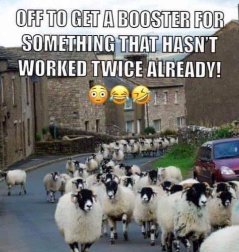 FB_IMG_1639930219541