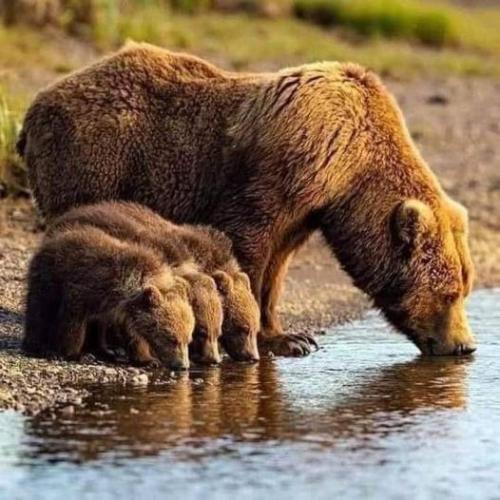 264458086_295496505916675_1331882827045324770_n