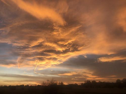 60D42574-F277-4BF8-AAB6-71FD4DB80ADF