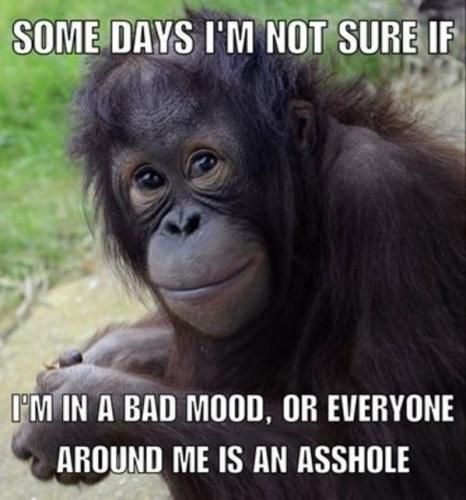 18:15:16 GMT-0600 (CST)