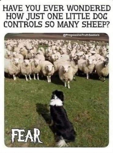 19:44:52 GMT-0700 (MST)