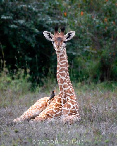 267475148_436278924613698_4725885446073869517_n