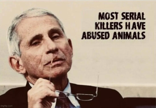 e892c265-da75-4785-8f62-b67e57cd0452