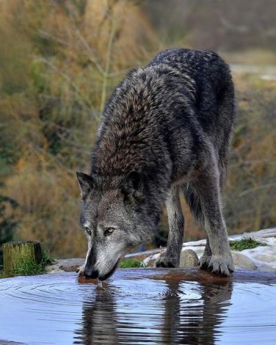 7c8b9ff0a189b713d84c17b70588493a