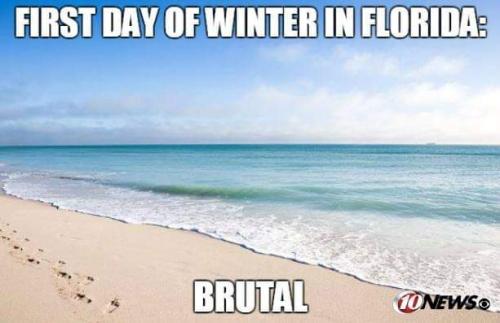 FB_IMG_1640098322088