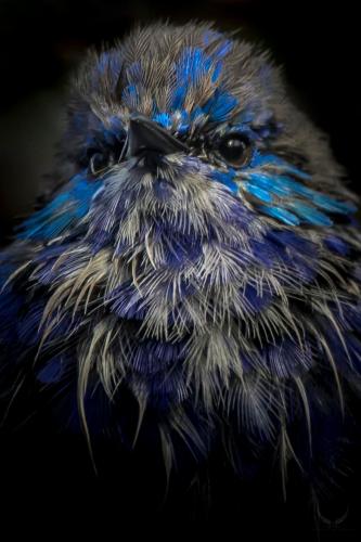 267647694_4613856648706939_6297746513105820297_n