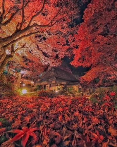 264400560_447026033460071_1544582753404030979_n