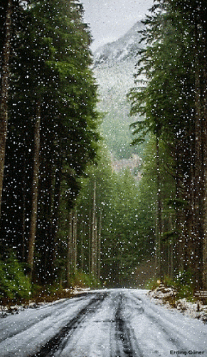 ! Snow falling on mountain road