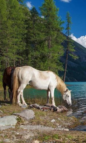 270253288_1734455760087100_2168586350347288594_n