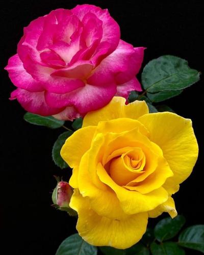 14:14:32 GMT-0600 (CST)