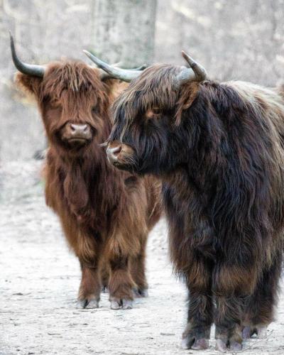 269923257_1730236247175718_28192310038641978_n