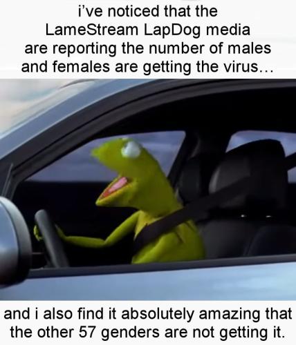 coronavirus1325