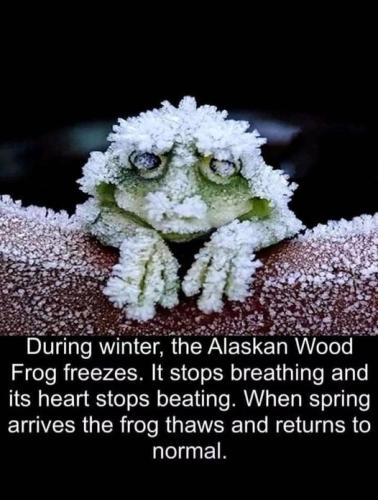 265746008_1042540859924566_5320292513467436669_n